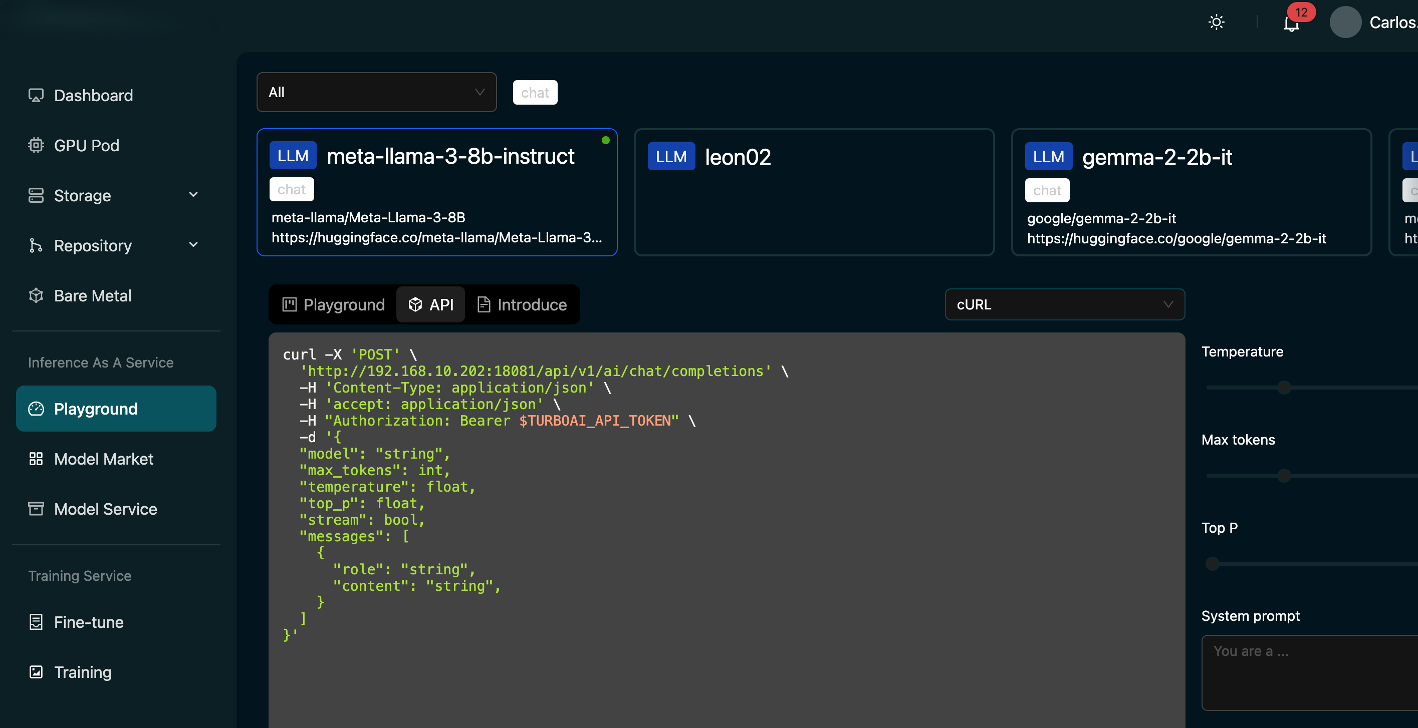 Playground API Tab Screenshot